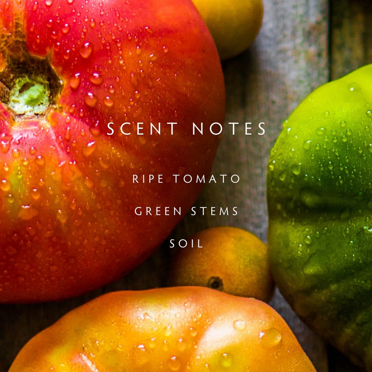 Linnea Heirloom Tomato 2-Wick Candle
